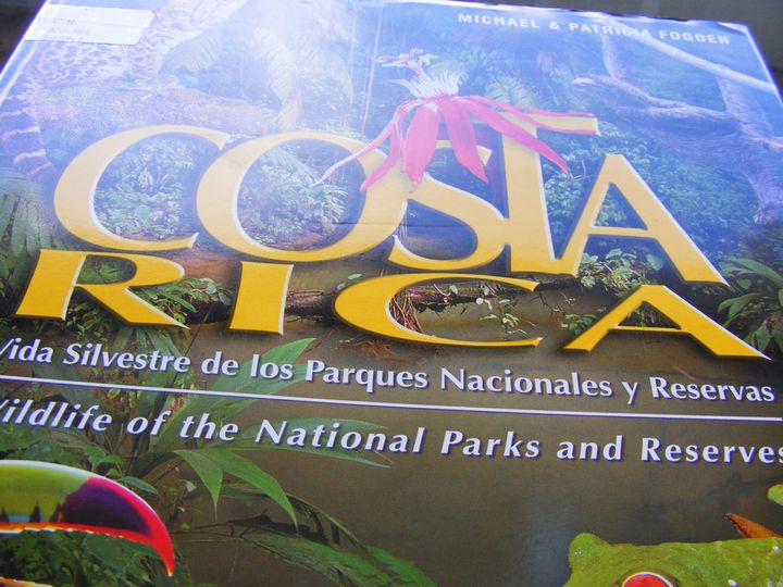 biblioteca 051 copy.jpg